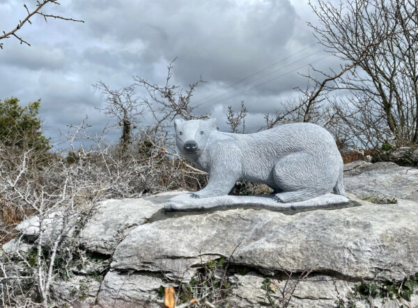 Stone badger in the Burren